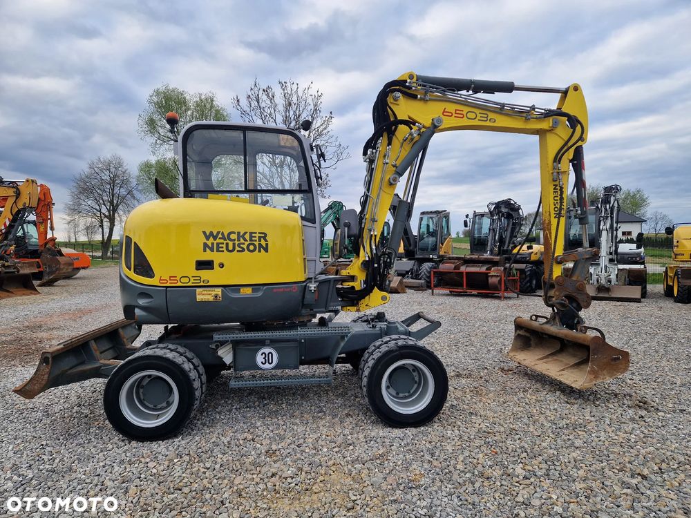 Wacker Neuson 6503 - 6