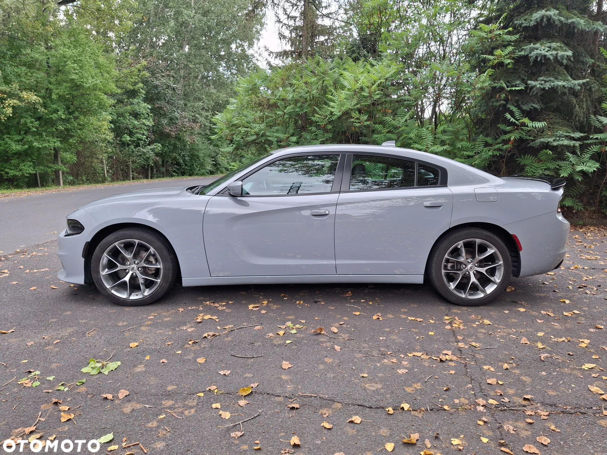 Dodge Charger 3.6 GT - 5