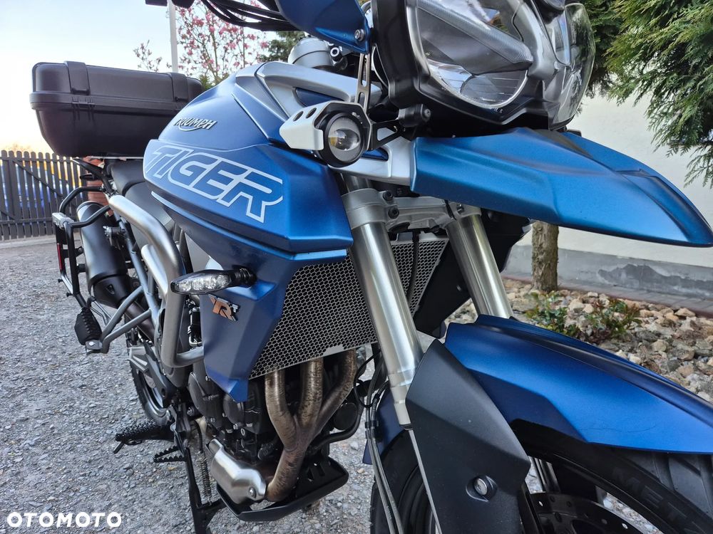 Triumph Tiger - 19