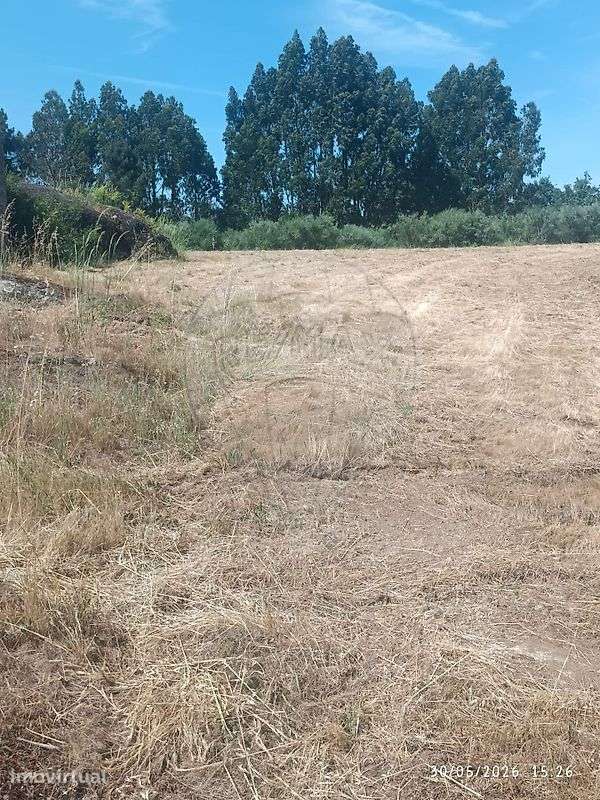 Terreno  para venda - Grande imagem: 3/4
