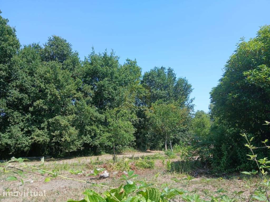 Terreno com 5.000 m² em Donim, Guimarães - Excelente Potencial - Grande imagem: 4/9
