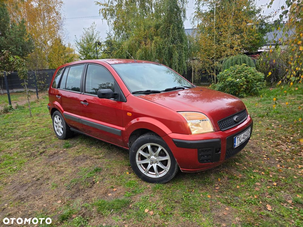 Ford Fusion 1.4 TDCi Amber X - 19