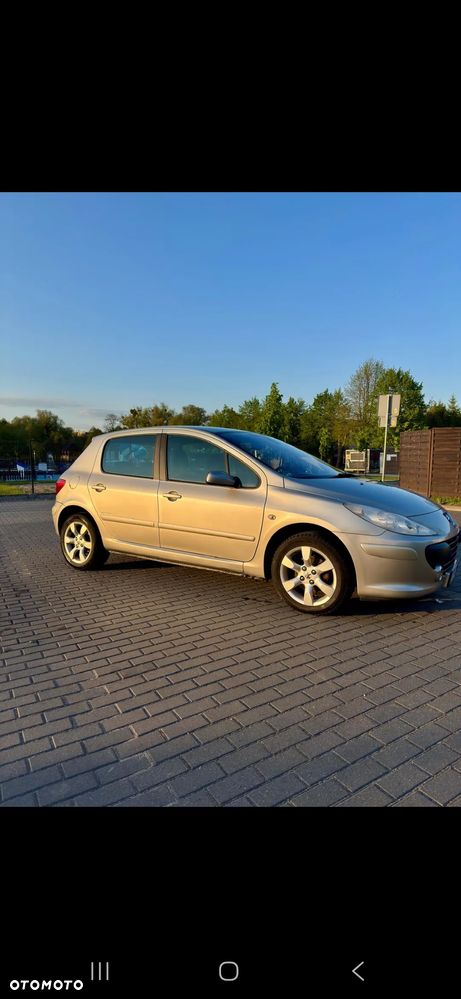 Peugeot 307 1.6 - 3
