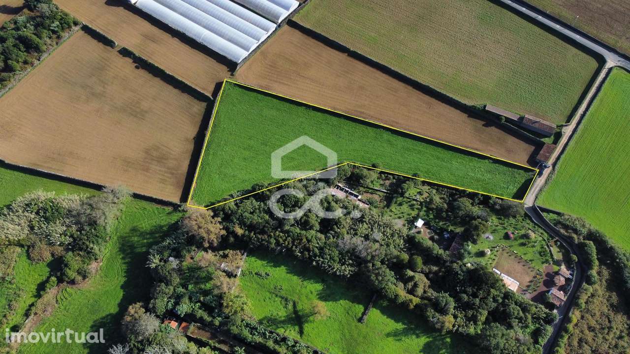 Terreno com 6.660,00 m2 - Pico da Pedra - Ribeira Grande - Grande imagem: 5/16