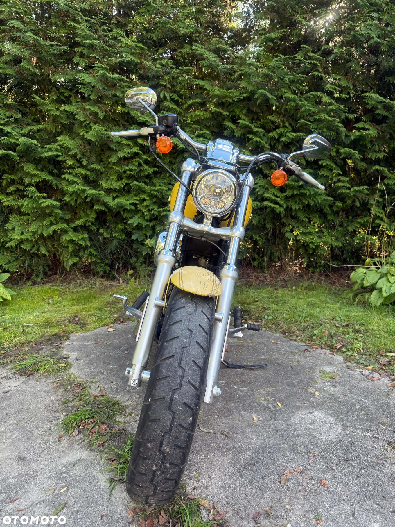 Harley-Davidson Sportster Custom 1200C - 2
