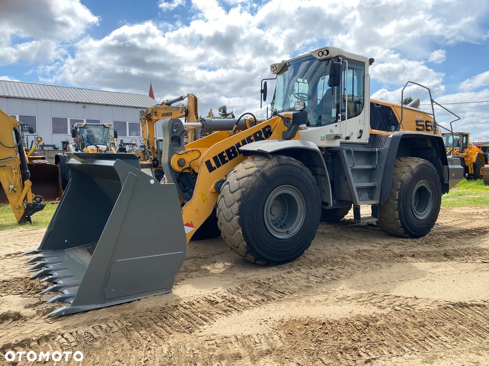 Liebherr L566 Xpower, 2020 ROK, WAGA W ŁYŻCE, z NIEMIEC, - 10