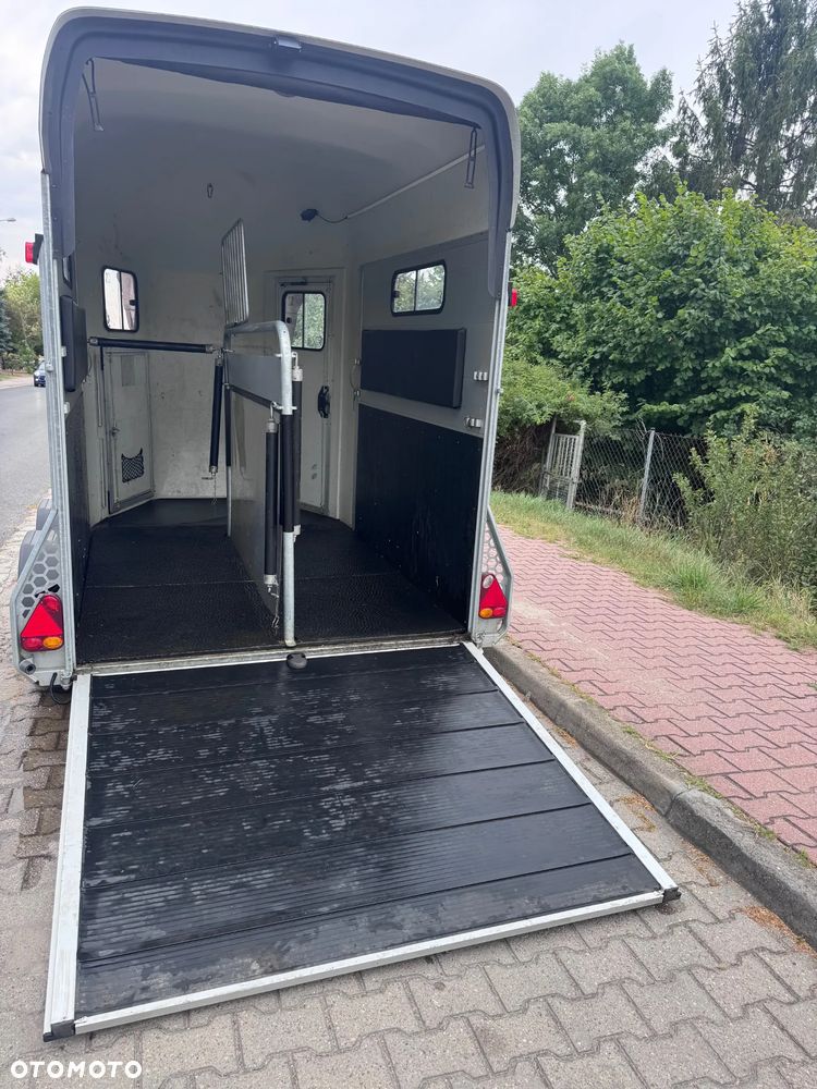 Cheval Liberte Gold 3 - 7
