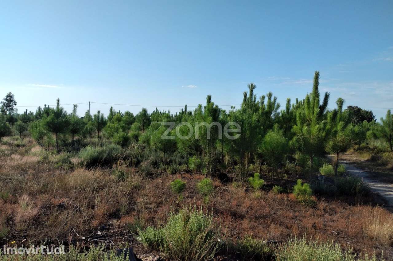 Terreno 1490m2 em Lagares - Coimbra - Grande imagem: 4/15