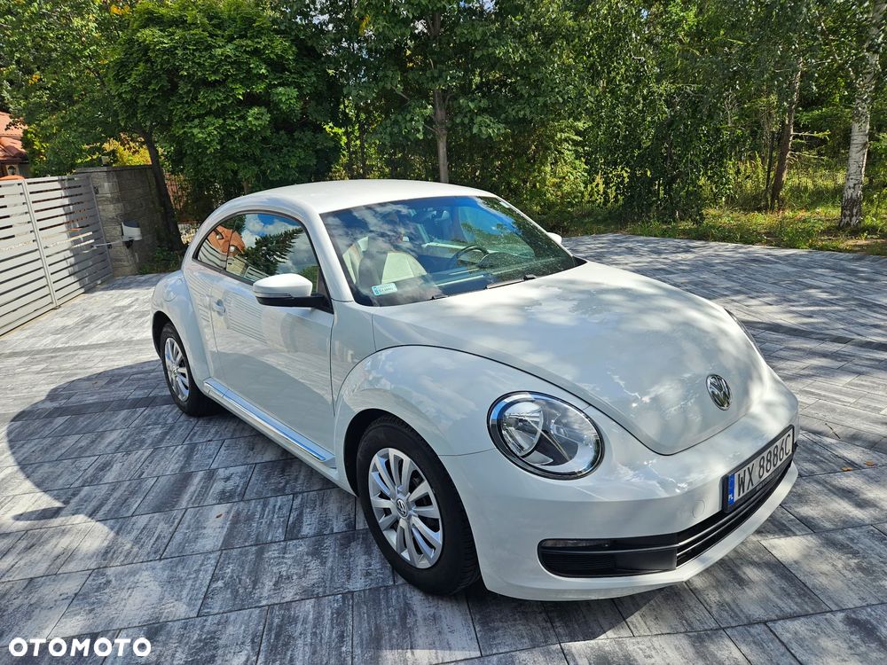Volkswagen Beetle - 14