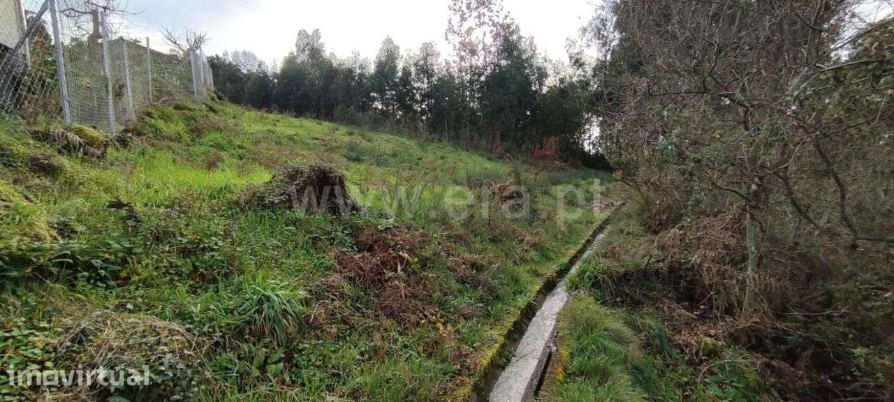 Terreno / Marco de Canaveses, Várzea, Aliviada e Folhada - Grande imagem: 3/12