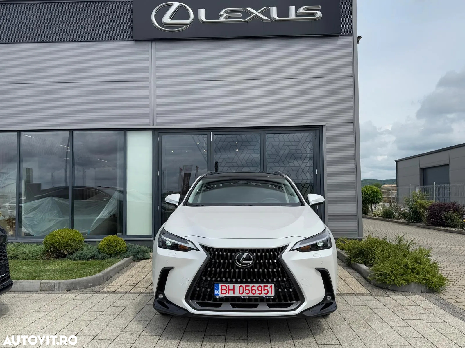 Lexus Seria NX 450h+ AWD CVT PHEV Executive - 3
