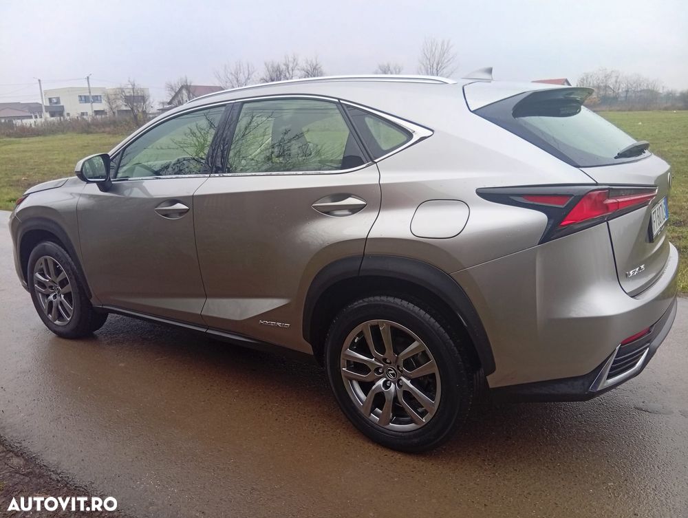 Lexus Seria NX 300h AWD Executive Plus - 4