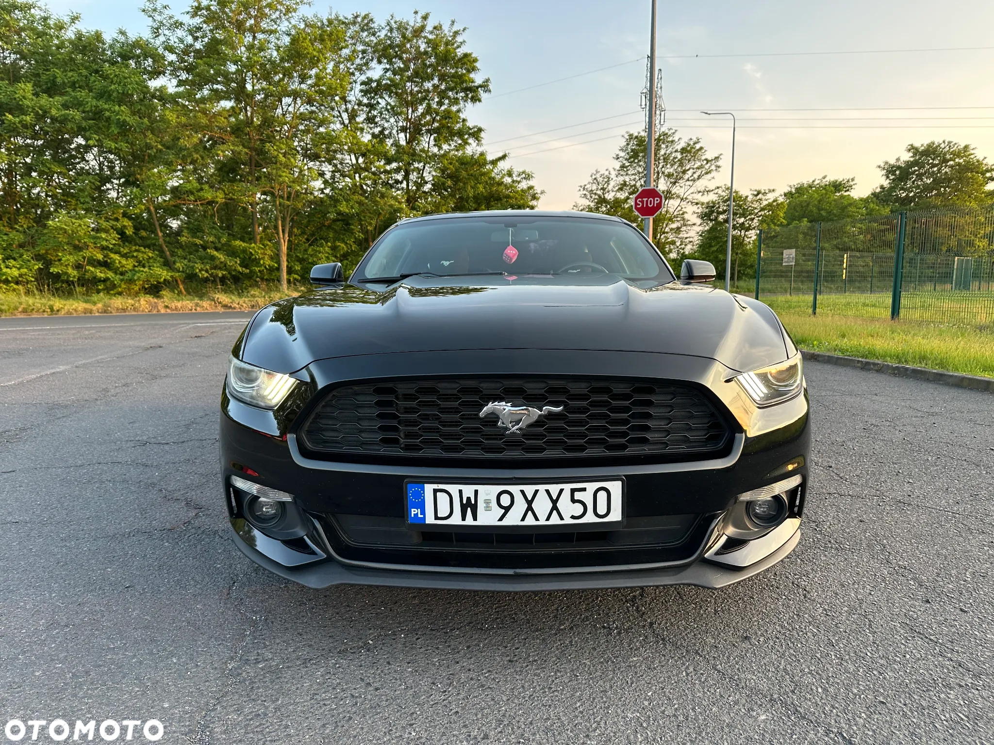 Ford Mustang - 10