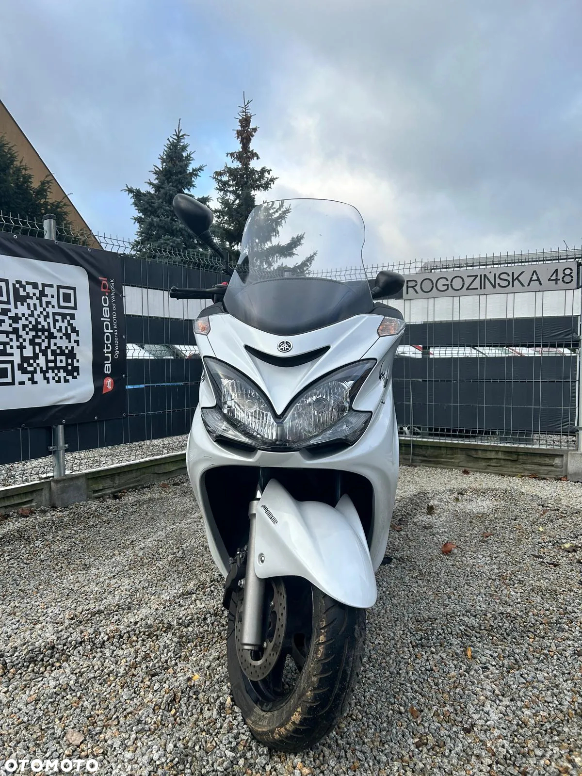 Yamaha Majesty - 6