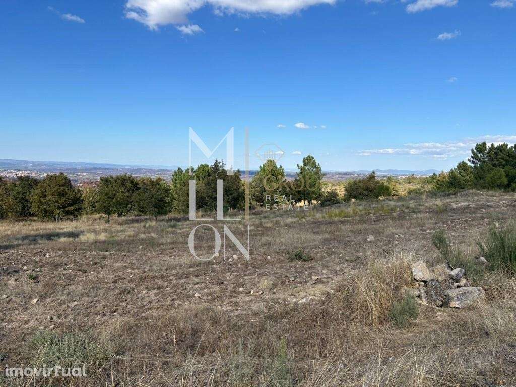 Terreno localizado em Codesseiro, Guarda, de fácil acesso. - Grande imagem: 3/3