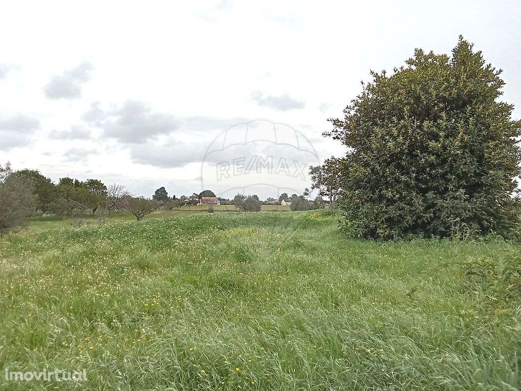 Terreno  para venda - Grande imagem: 2/12