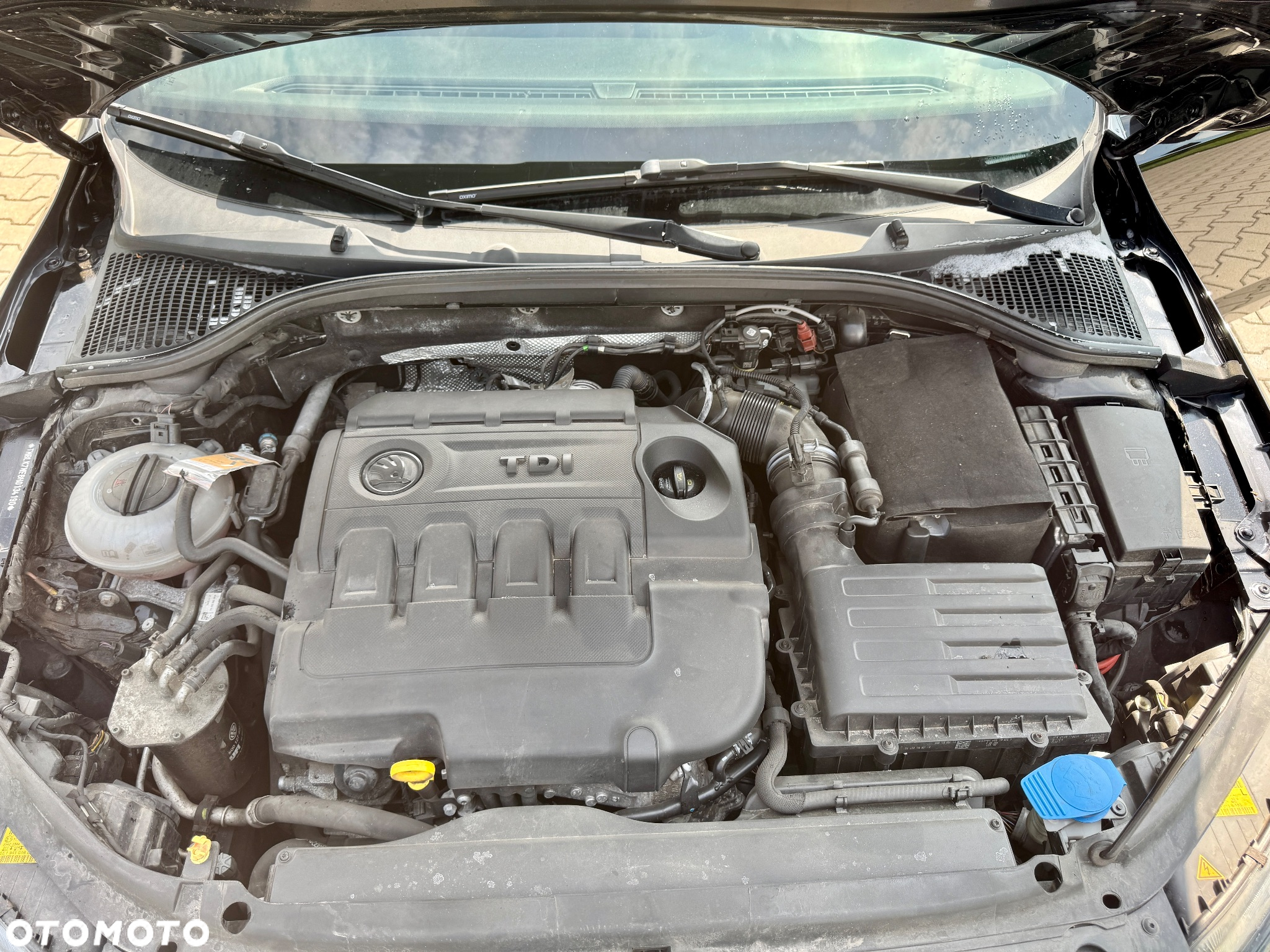 Skoda Octavia 2.0 TDI 4x4 DSG RS - 27