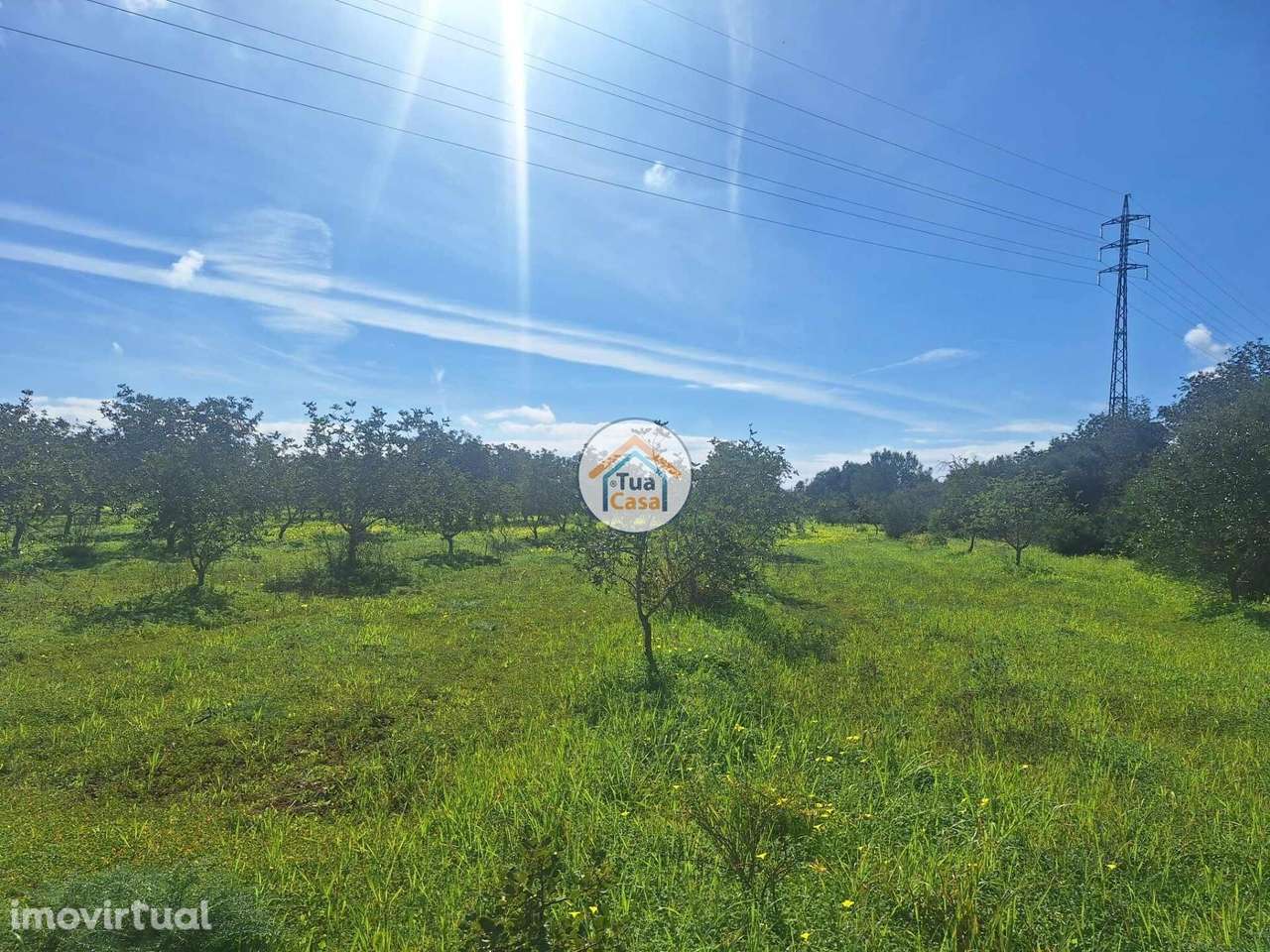 Terreno com armazém no concelho de Faro - Grande imagem: 5/30