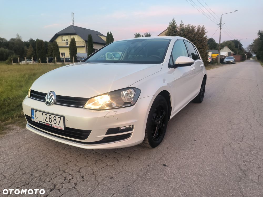 Volkswagen Golf 1.6 TDI BlueMotion Technology DSG Allstar - 14