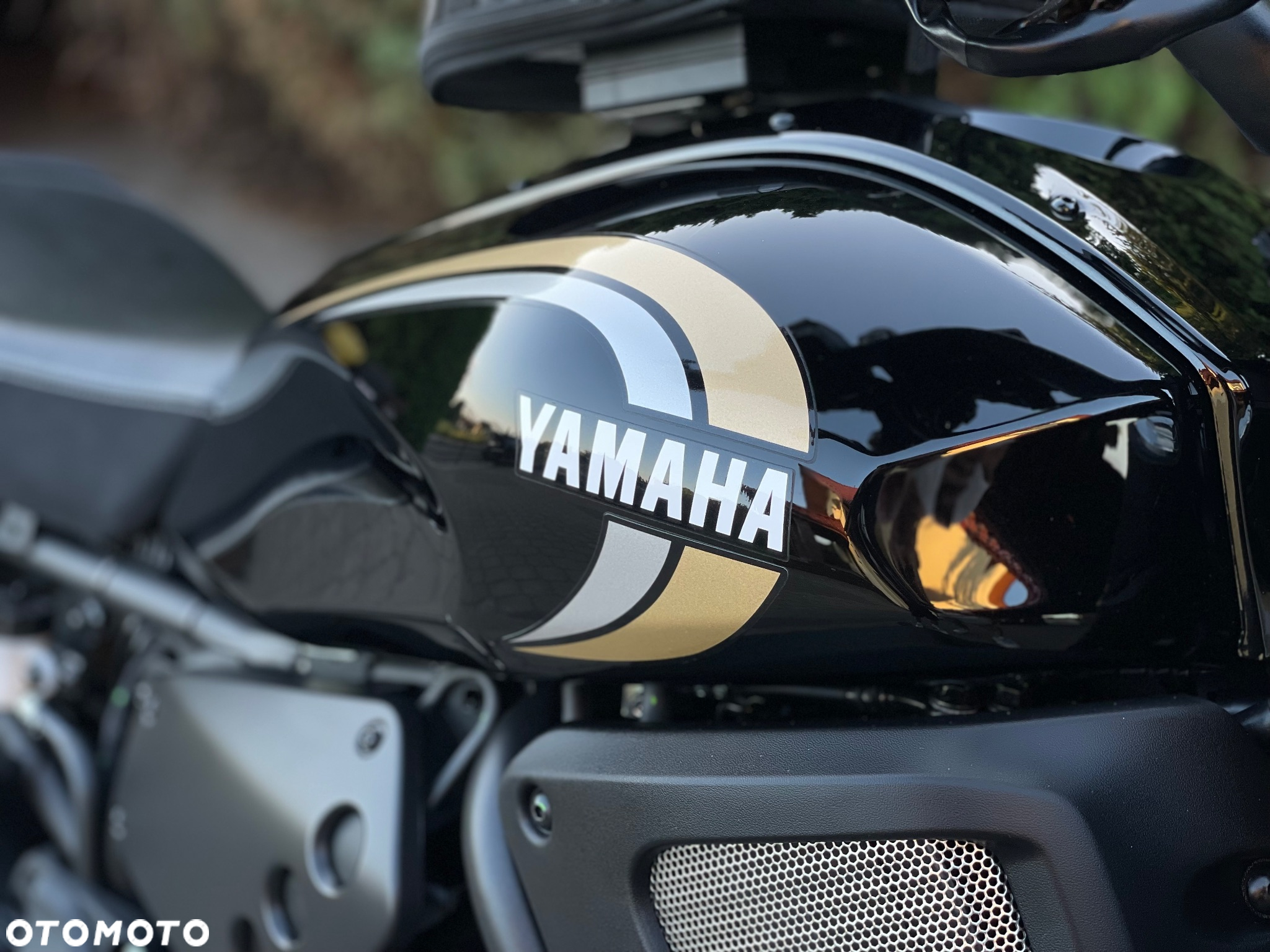 Yamaha XSR - 17