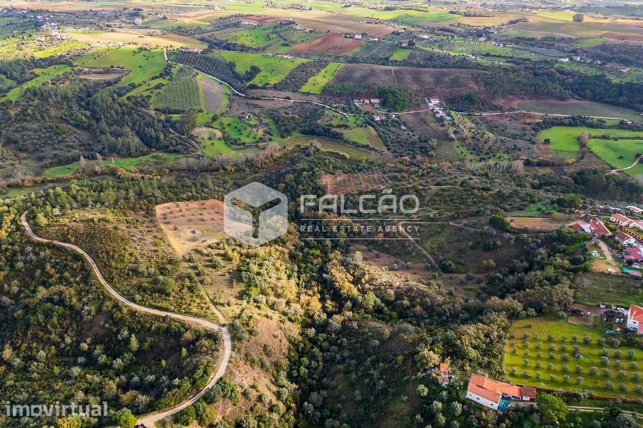 Terreno Misto  Venda em Azoia de Cima e Tremês,Santarém - Grande imagem: 2/28