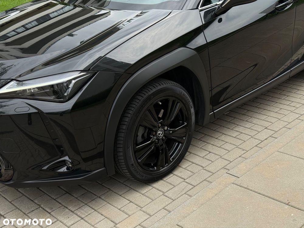 Lexus UX 250h F Sport 2WD - 17