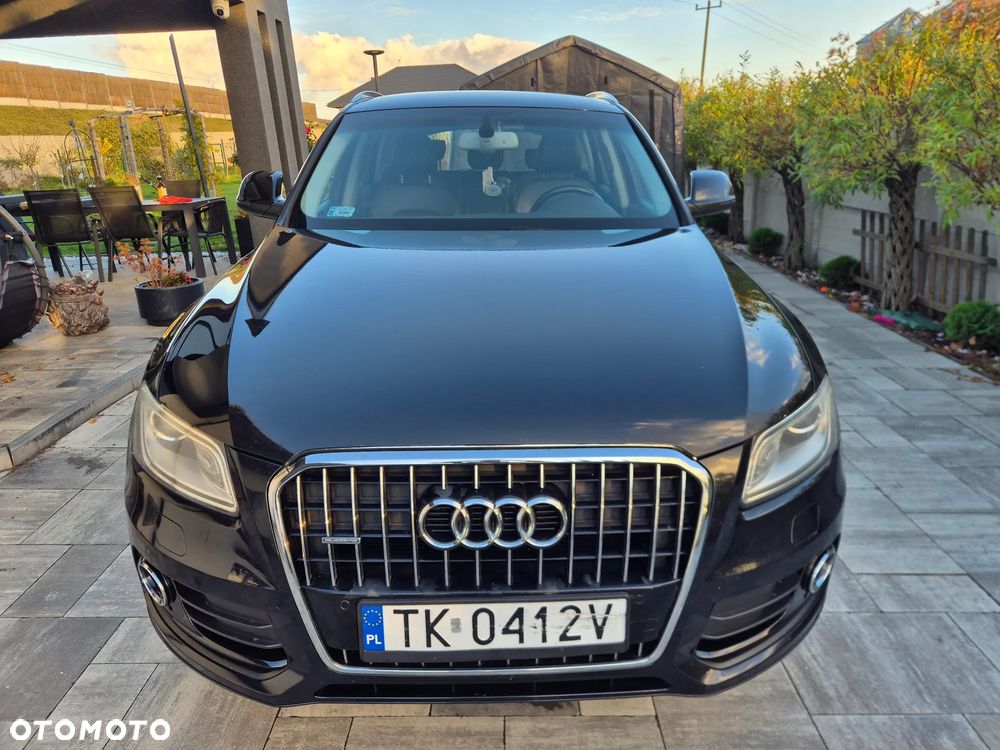 Audi Q5 2013 photo 5