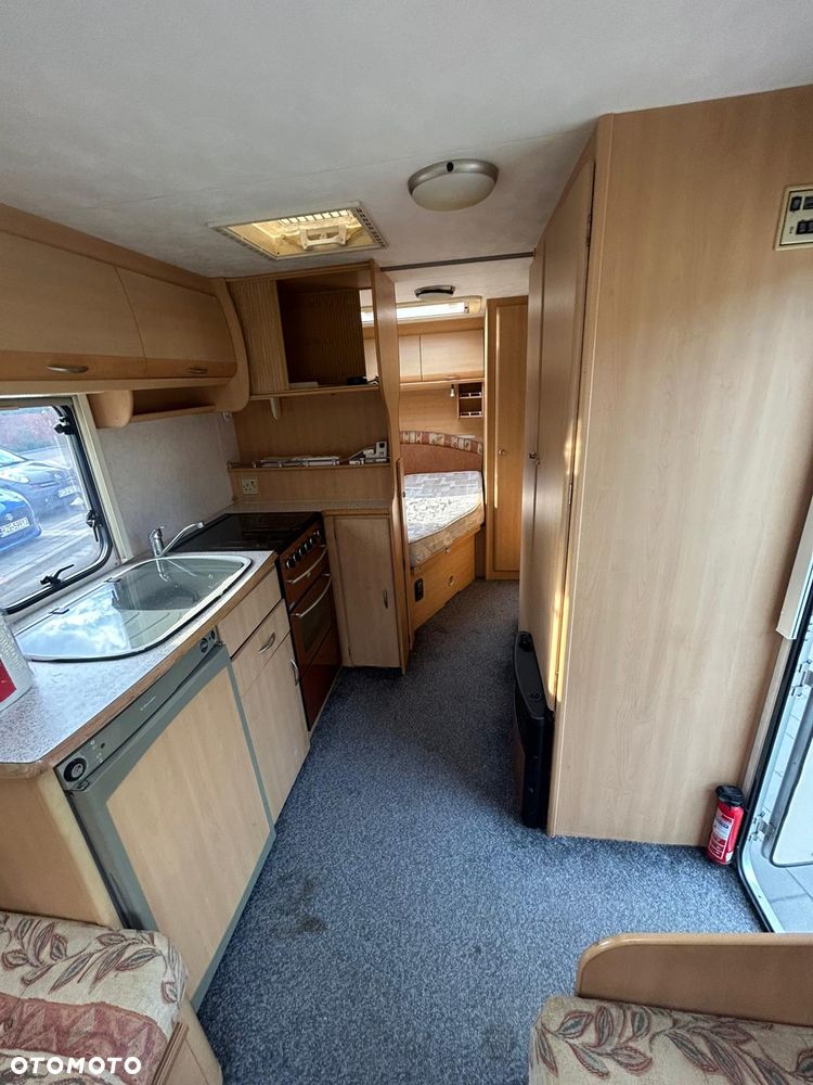 Coachman Amara - 11
