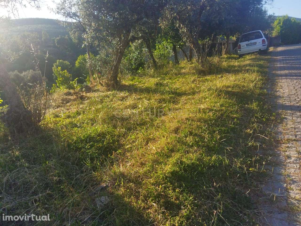Terreno rústico | São Vicente da Beira, Castelo Branco - Grande imagem: 3/11