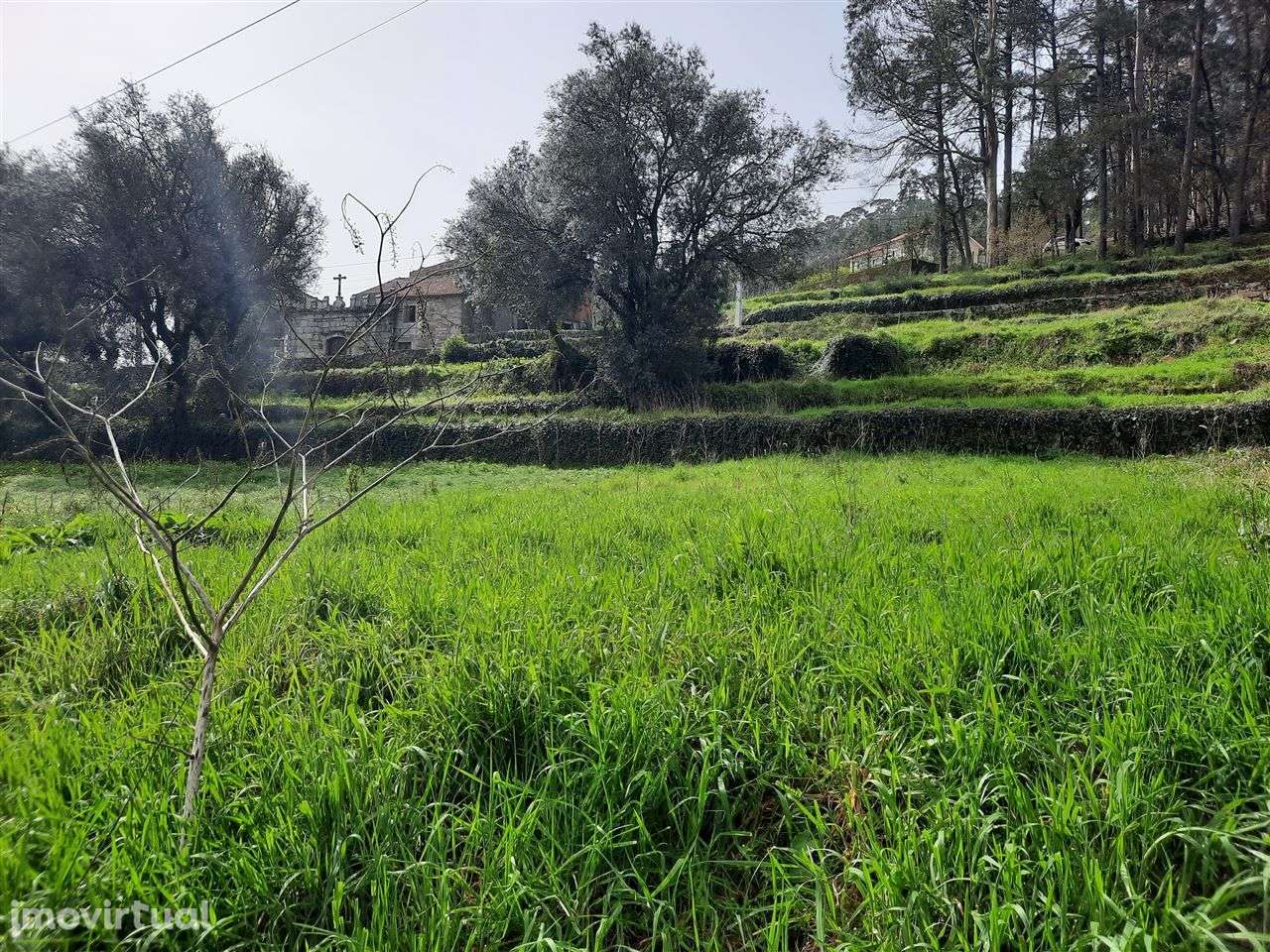 Terreno para construção em Palmeira de Faro - Grande imagem: 2/4