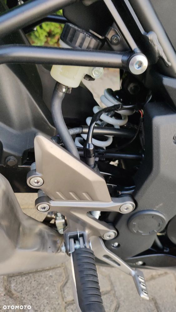 Kawasaki Ninja - 13