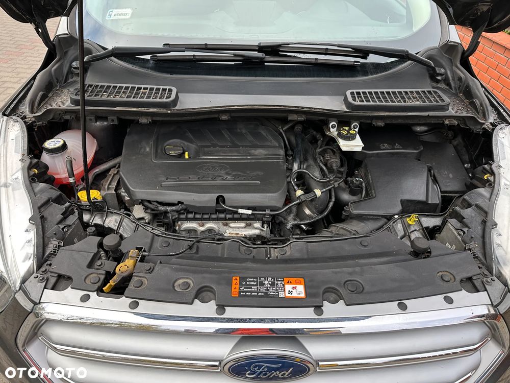 Ford Kuga 1.5 EcoBoost FWD Edition ASS MMT6 - 17