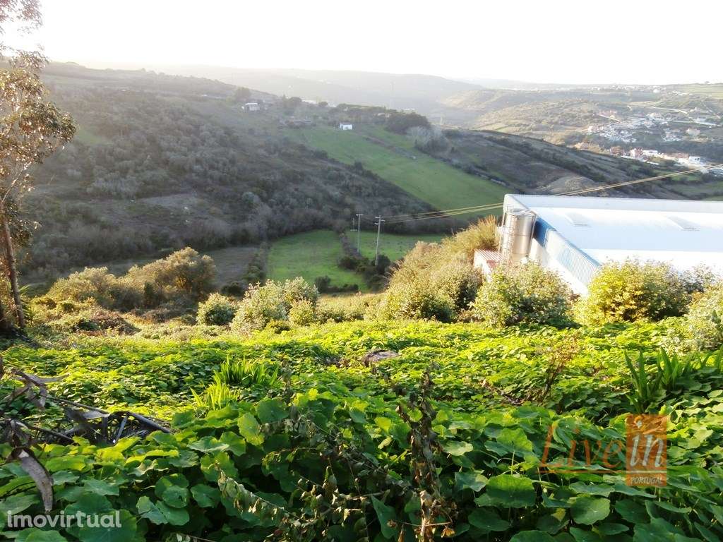 Terreno Misto para Construção de Armazém - Grande imagem: 2/10