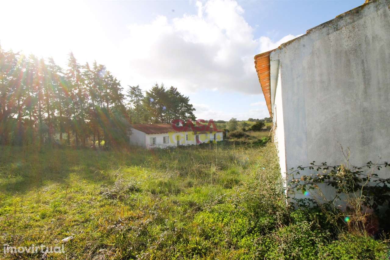 Moradia T3 Venda em Olaia e Paço,Torres Novas - Grande imagem: 5/26