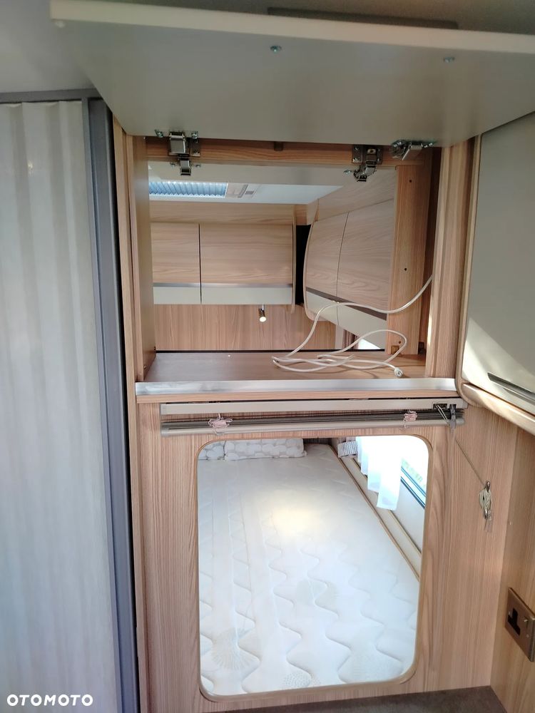 Coachman - 33