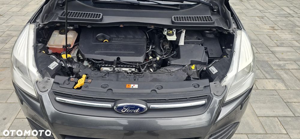 Ford Kuga 1.5 EcoBoost 2x4 Business Edition - 12