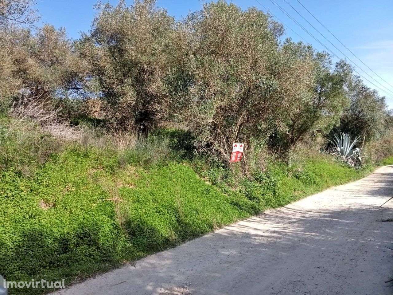 Terreno com 13000 m2 em Santarém - Grande imagem: 2/9