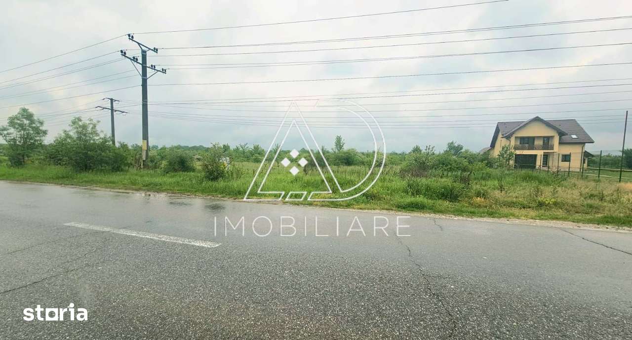 De Vânzare Teren 9.362 mp – Târgu Cărbunești - Imagine principală: 2/11