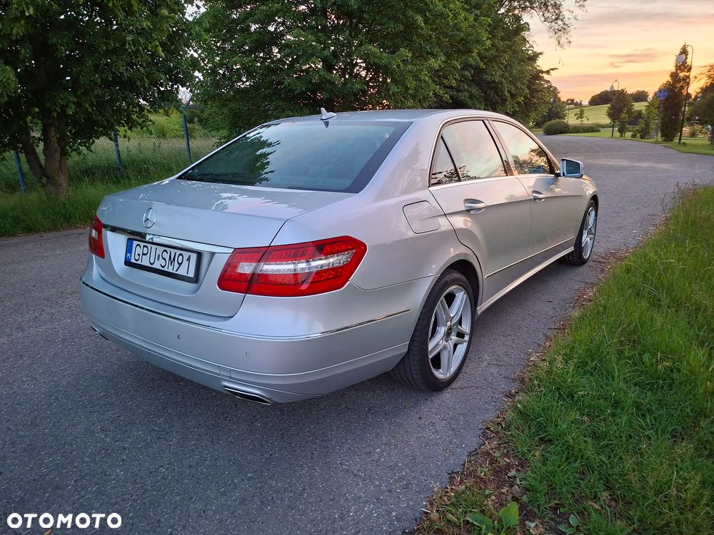 Mercedes-Benz Klasa E 500 7G-TRONIC Avantgarde - 21