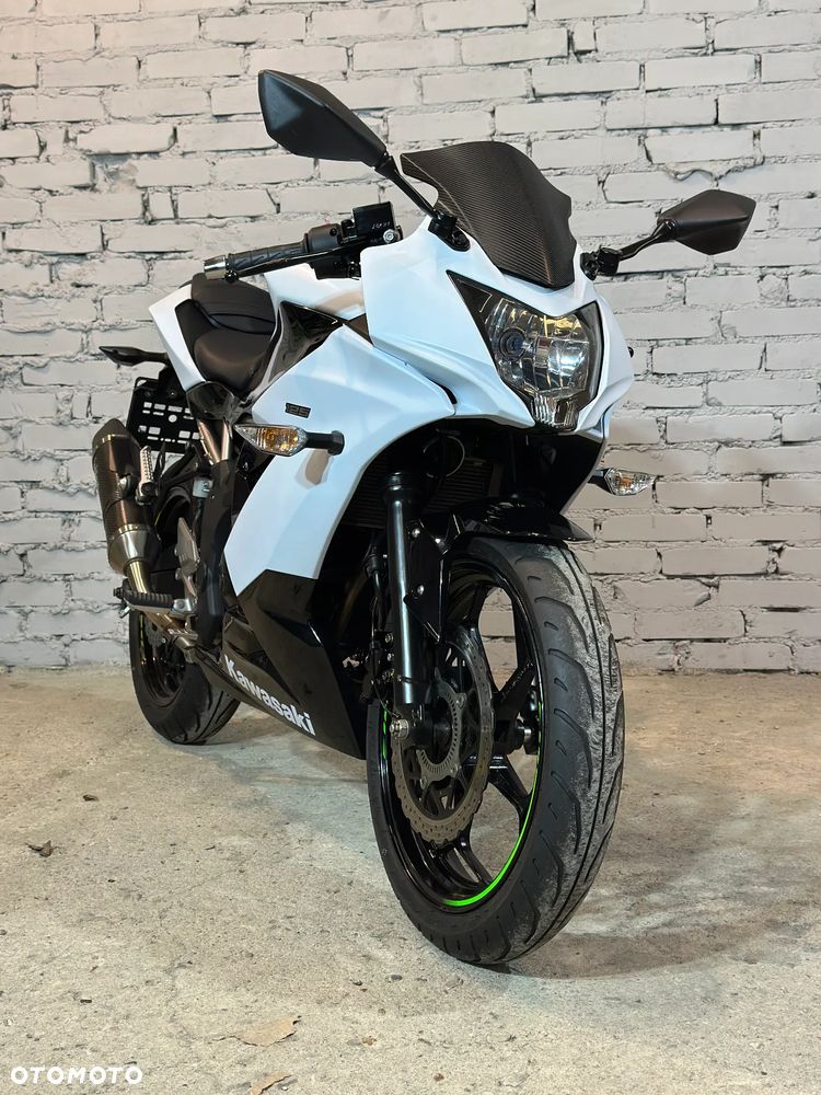 Kawasaki Ninja - 3