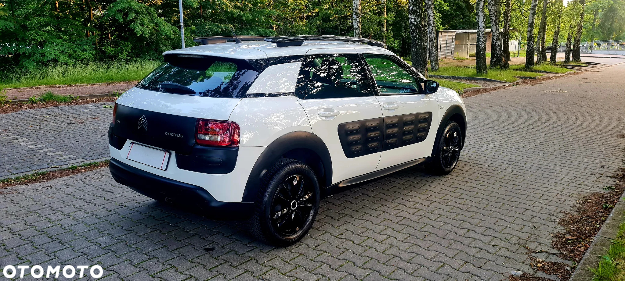 Citroën C4 Cactus 1.2 PureTech GPF Shine Pack S&S - 14