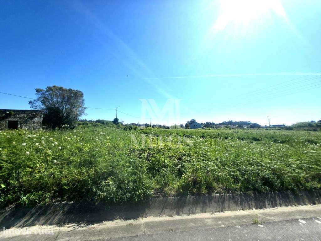 Terreno de cultivo para venda em Vila Fria - Viana do Castelo - Grande imagem: 4/7