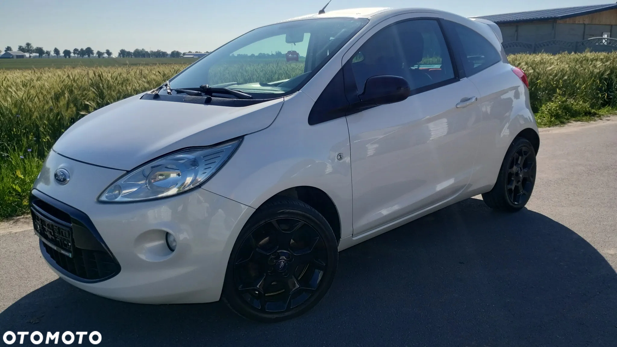 Ford KA 1.2 Start-Stopp-System Champions Edition - 2