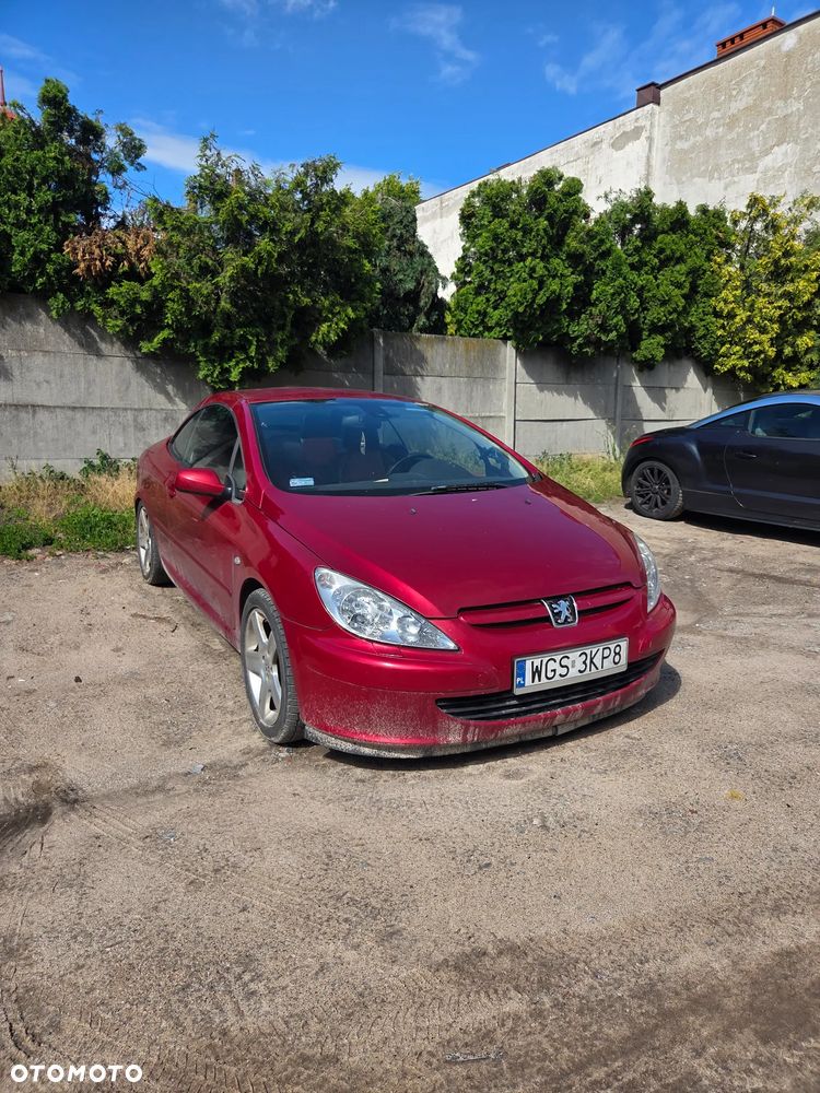 Peugeot 307 CC 2.0 Sport - 14