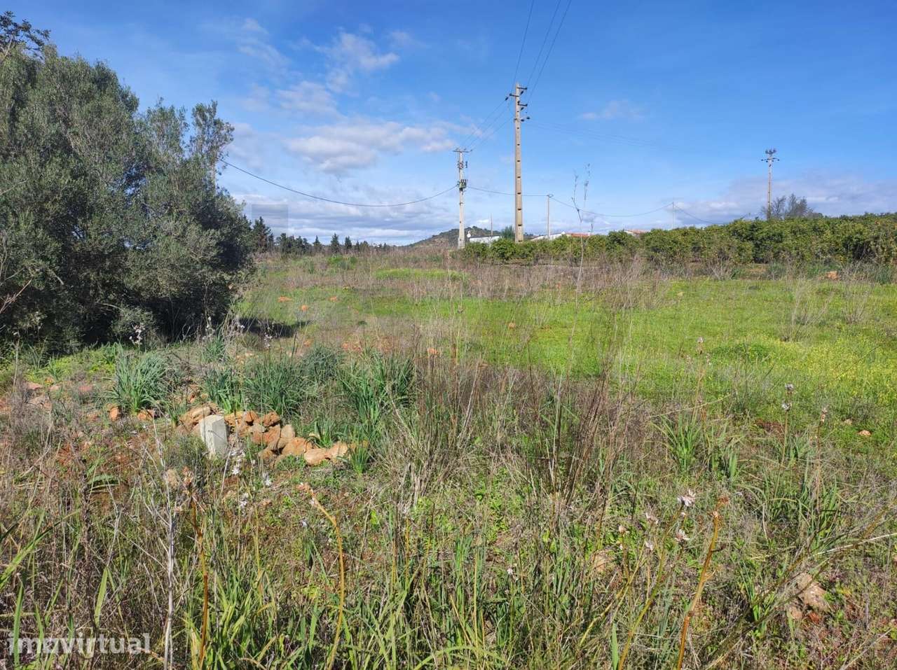 Terreno Rústico com 1200m2, Benaciate - Silves - Grande imagem: 2/15