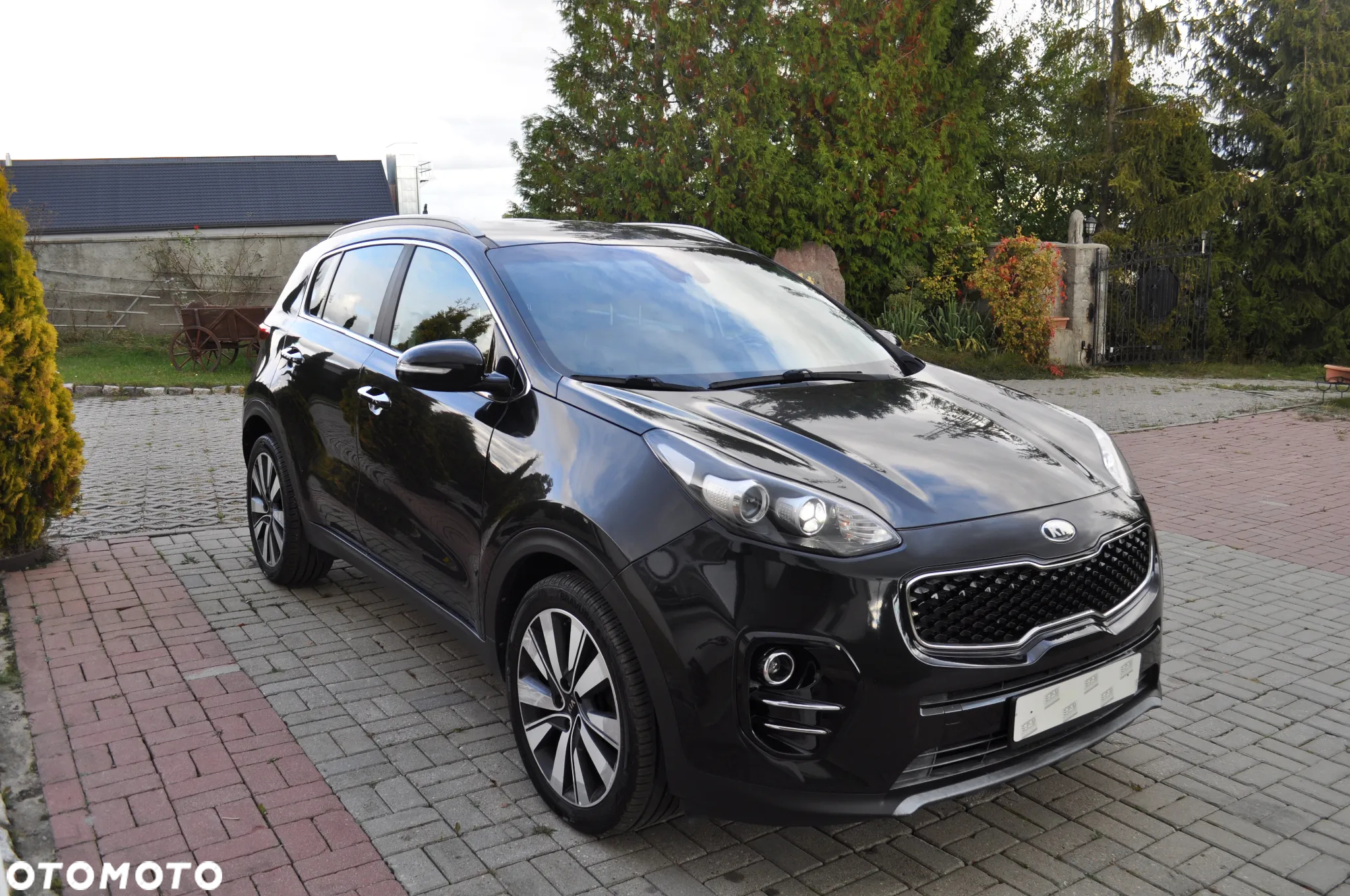 Kia Sportage 1.6 CRDI AWD Eco-Dynamics+ (48V M-H) DCT Black Edition - 9