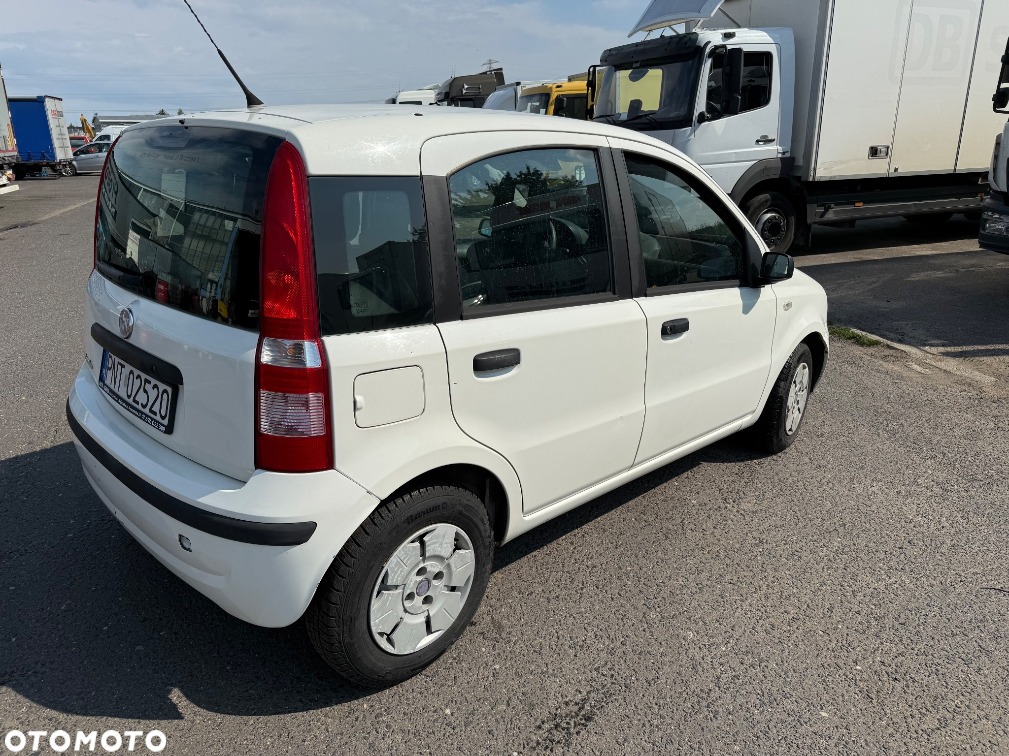 Fiat Panda 1.1 Active Alaska - 10