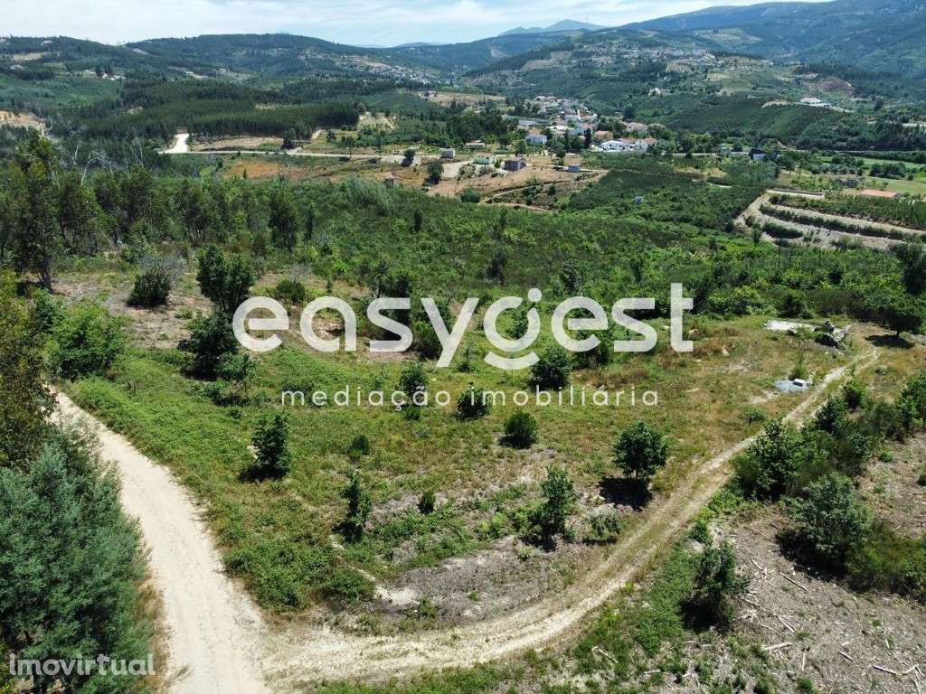 Terreno com 13440 m2, com projeto aprovado para moradia T3 em Côja - Grande imagem: 2/19