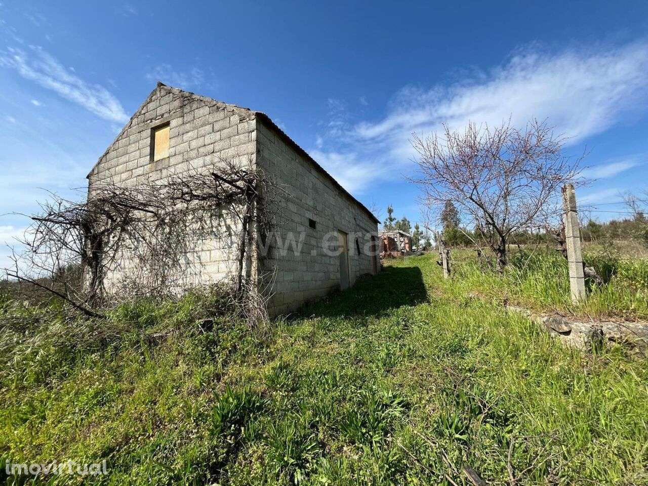 Terreno / Seia, Sameice e Santa Eulália - Grande imagem: 5/15