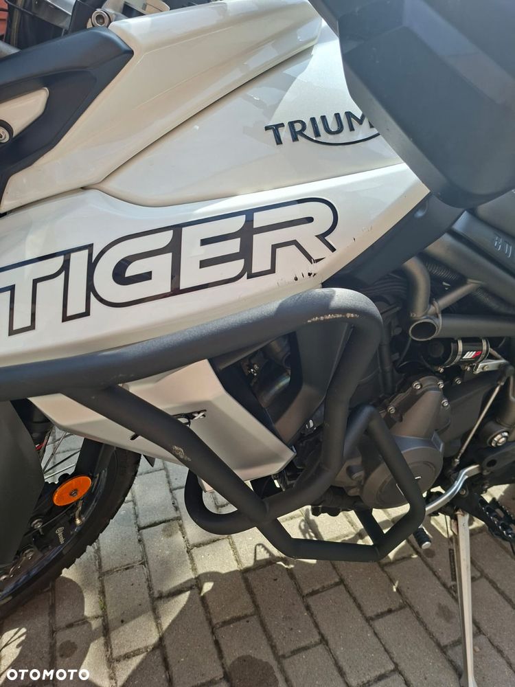 Triumph Tiger - 14